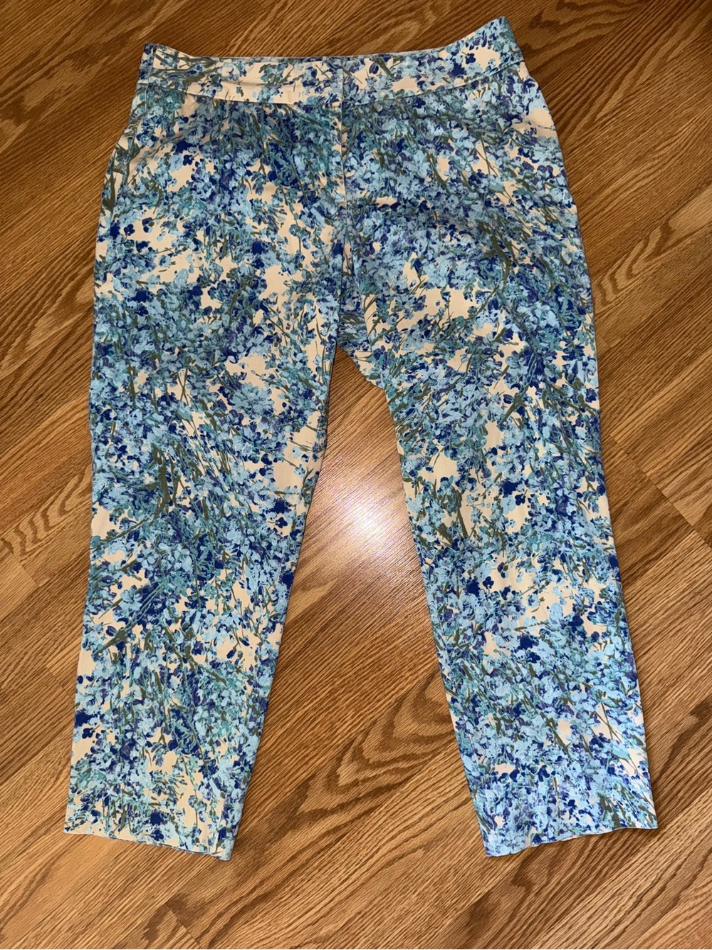 Talbot’s Signature blue printed Cropped Pants sz 8P